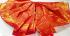 PL Muhurtham Saree
